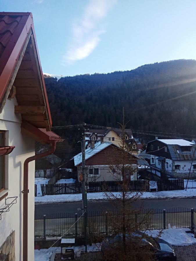 Casa Alexandru Hotell Azuga Exteriör bild