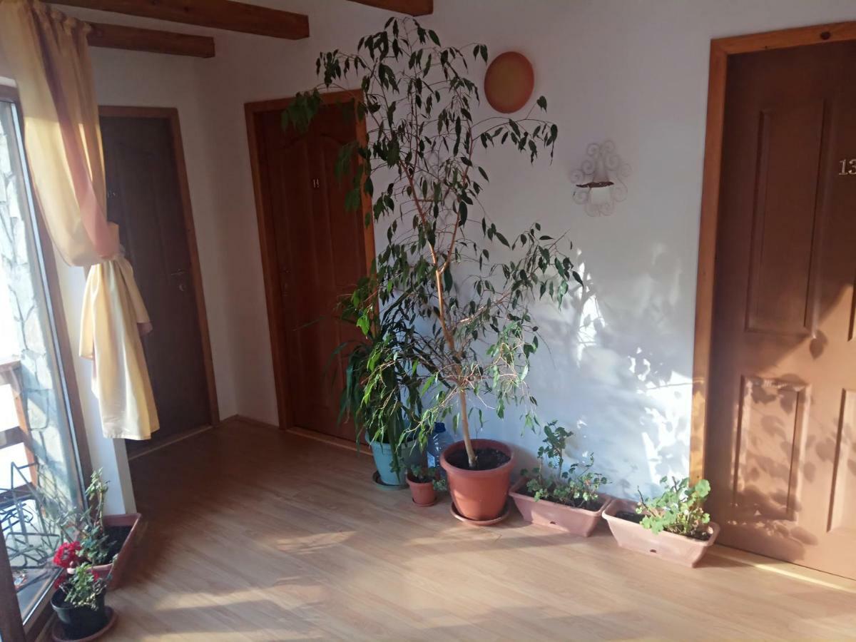Casa Alexandru Hotell Azuga Exteriör bild