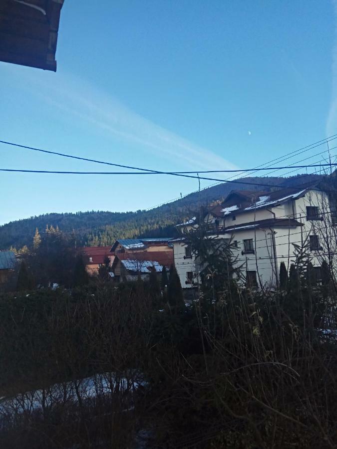 Casa Alexandru Hotell Azuga Exteriör bild